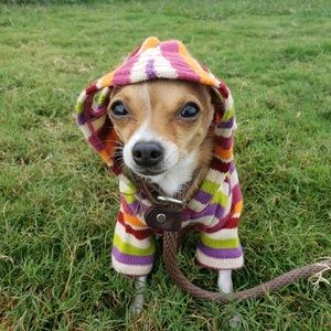 Meet your Posher, Coco